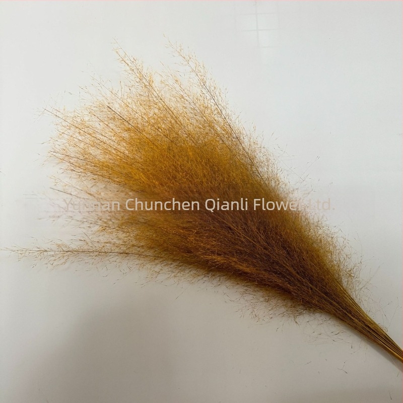 Μπουκέτο αποξηραμένων λουλουδιών, Pink dai ποικιλία, Chen chen qianli flowers (Μάρκα: Chen chen qianli flowers; Υλικό: Αποξηραμένα λουλούδια; Ποικιλία: Pink dai; Δώρο: Όχι)