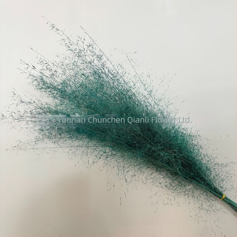 Μπουκέτο αποξηραμένων λουλουδιών, Pink dai ποικιλία, Chen chen qianli flowers (Μάρκα: Chen chen qianli flowers; Υλικό: Αποξηραμένα λουλούδια; Ποικιλία: Pink dai; Δώρο: Όχι)