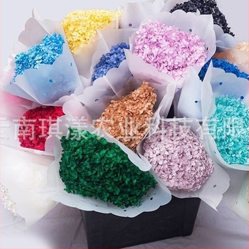 Anna Hydrangea αποξηραμένα άνθη – μονή στέλεχος, μάρκα Qiyang, μη εισαγόμενο, για μπουκέτο