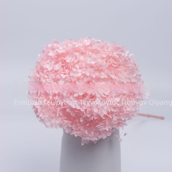 Anna Hydrangea αποξηραμένα άνθη – μονή στέλεχος, μάρκα Qiyang, μη εισαγόμενο, για μπουκέτο
