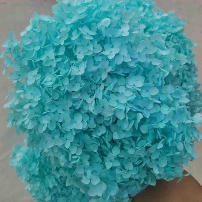 Anna Hydrangea αποξηραμένα άνθη – μονή στέλεχος, μάρκα Qiyang, μη εισαγόμενο, για μπουκέτο