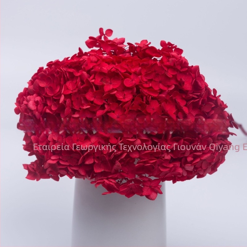 Anna Hydrangea αποξηραμένα άνθη – μονή στέλεχος, μάρκα Qiyang, μη εισαγόμενο, για μπουκέτο