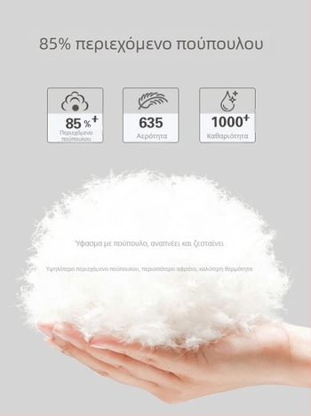 Παιδικό χειμερινό μπουφάν για αγόρια, με σχέδιο καρτούν, κουκούλα, αποσπώμενη επένδυση από πούπουλο, σετ δύο τεμαχίων, ηλικίες 1–3 ετών