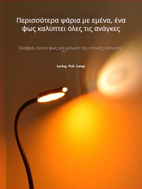 Φως ψαρέματος σε σχεδία, διπλής κεφαλής, επαναφορτιζόμενο, πλαστικό σώμα, 50 g, νυχτερινό φως αλιείας