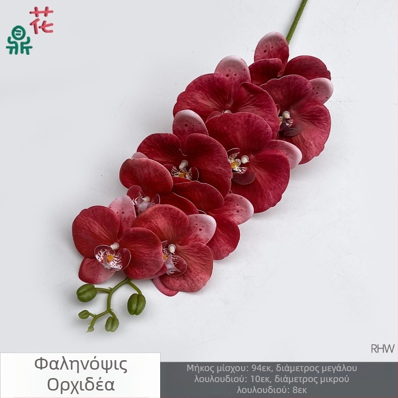 Phalaenopsis μεταξωτή ορχιδέα, 9 κεφαλές, 3D, αξεσουάρ στούντιο γάμου