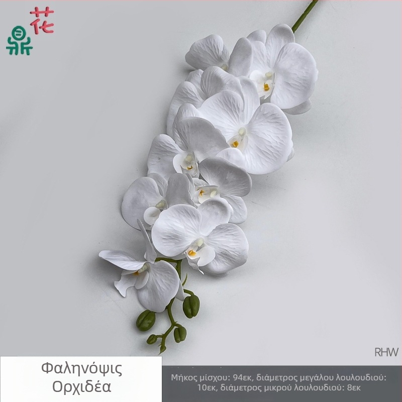 Phalaenopsis μεταξωτή ορχιδέα, 9 κεφαλές, 3D, αξεσουάρ στούντιο γάμου