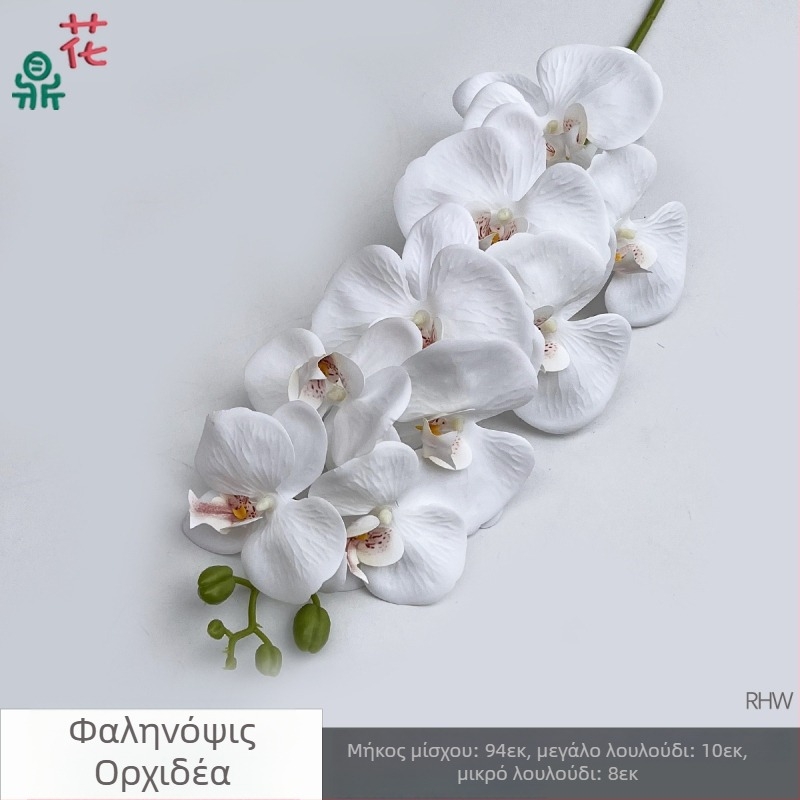 Phalaenopsis μεταξωτή ορχιδέα, 9 κεφαλές, 3D, αξεσουάρ στούντιο γάμου