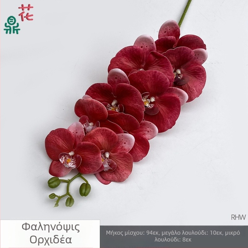 Phalaenopsis μεταξωτή ορχιδέα, 9 κεφαλές, 3D, αξεσουάρ στούντιο γάμου