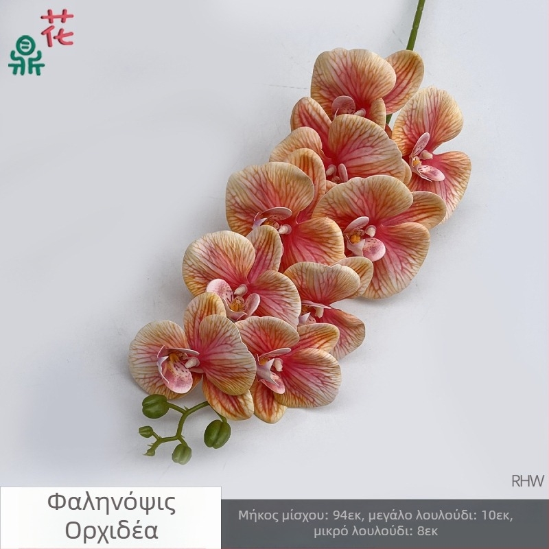 Phalaenopsis μεταξωτή ορχιδέα, 9 κεφαλές, 3D, αξεσουάρ στούντιο γάμου