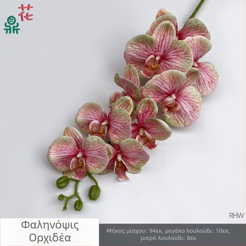 Phalaenopsis μεταξωτή ορχιδέα, 9 κεφαλές, 3D, αξεσουάρ στούντιο γάμου