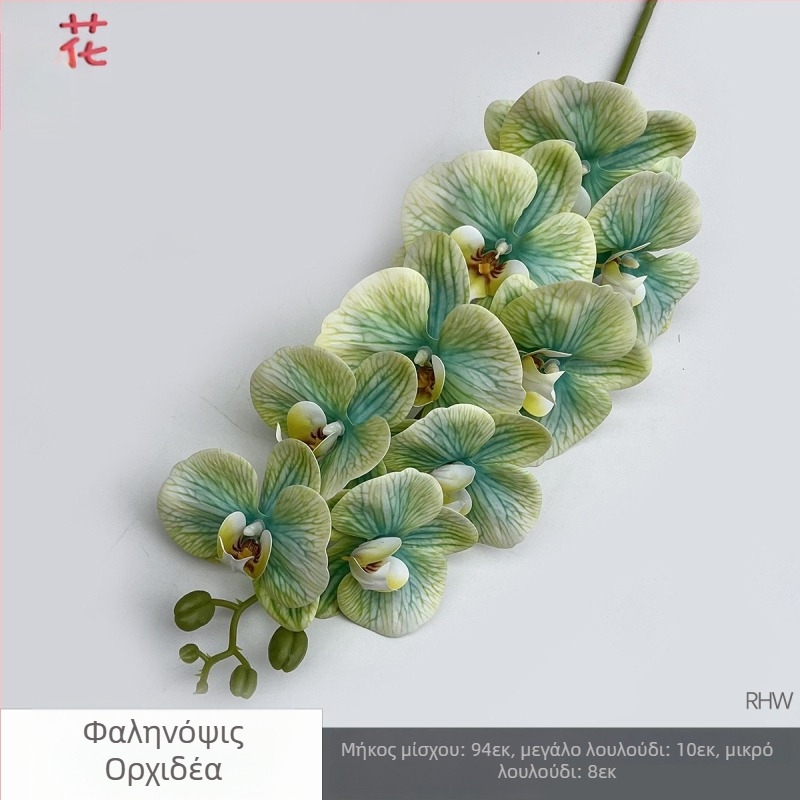 Phalaenopsis μεταξωτή ορχιδέα, 9 κεφαλές, 3D, αξεσουάρ στούντιο γάμου