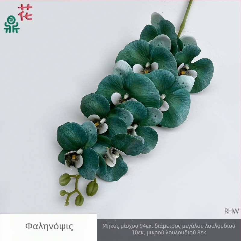 Phalaenopsis μεταξωτή ορχιδέα, 9 κεφαλές, 3D, αξεσουάρ στούντιο γάμου