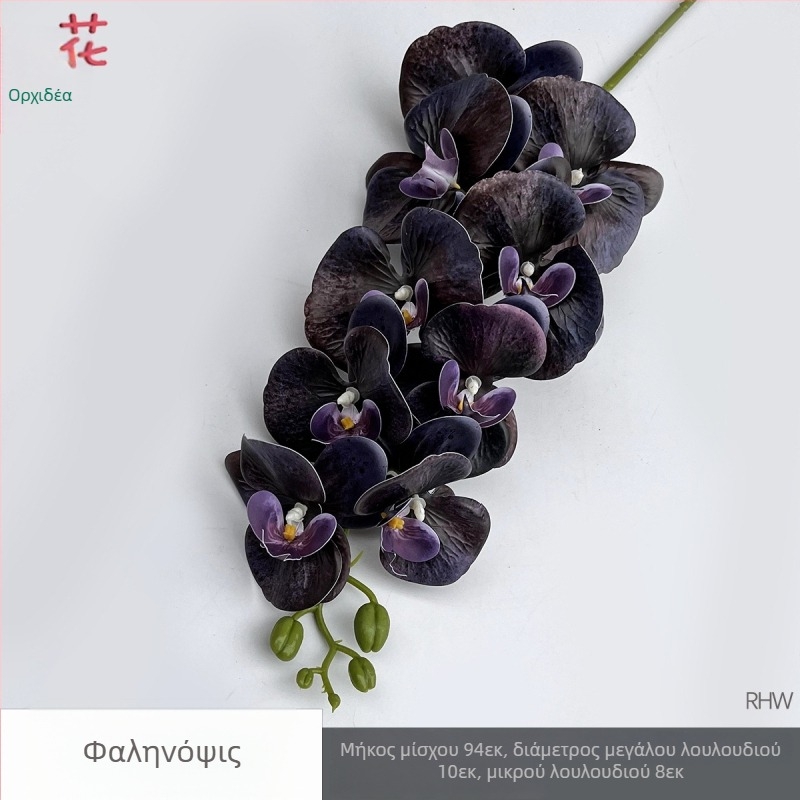 Phalaenopsis μεταξωτή ορχιδέα, 9 κεφαλές, 3D, αξεσουάρ στούντιο γάμου