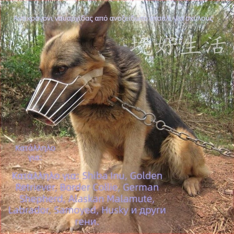 Μάσκα σκύλου από ανοξείδωτο ατσάλι με αντιδαγκωτική κατασκευή και δυνατότητα πόσης νερού