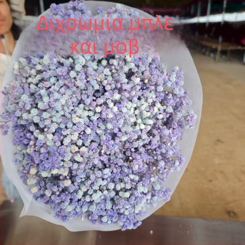 Μπουκέτο αποξηραμένων λουλουδιών Starry Sky, διατηρημένα λουλούδια, 400–500 g