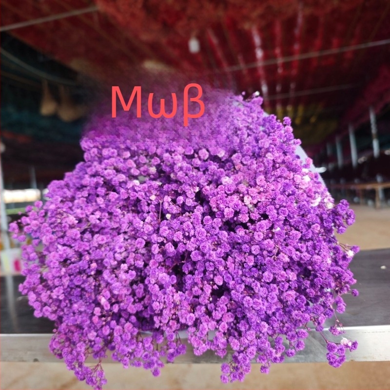 Μπουκέτο αποξηραμένων λουλουδιών Starry Sky, διατηρημένα λουλούδια, 400–500 g