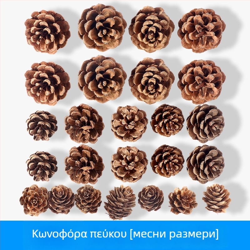 Τσάντα αποξηραμένων λουλουδιών, μάρκα Tong Meng; Υλικό 31021386361; Παραλλαγή 31021386362; Συσκευασία: σακούλα