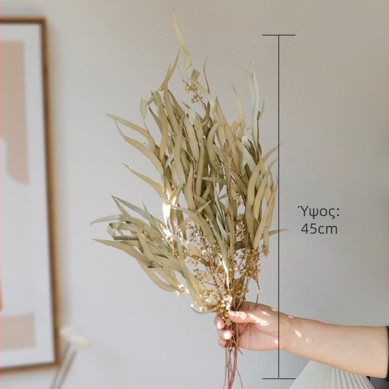 Μπουκέτο αποξηραμένων λουλουδιών, στυλ Γουάμπι-Σάμπι, ποικιλία Forget-me-not, χωρίς βαφή, συσκευασμένο σε Opp σακούλα