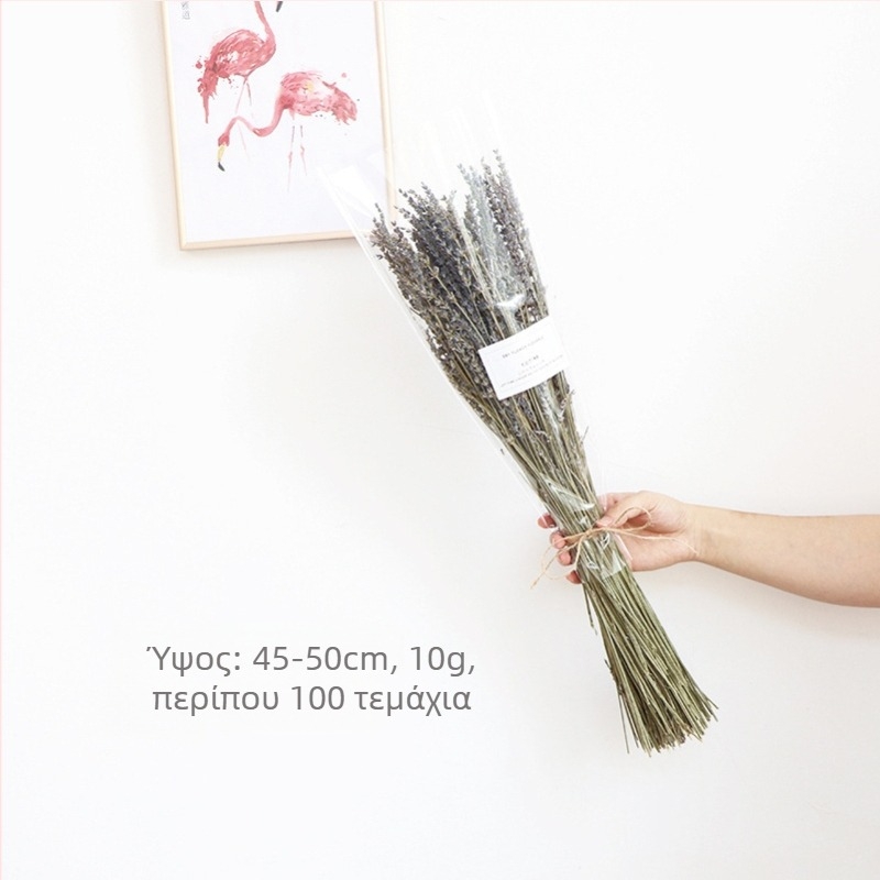 Μπουκέτο αποξηραμένων λουλουδιών, στυλ Γουάμπι-Σάμπι, ποικιλία Forget-me-not, χωρίς βαφή, συσκευασμένο σε Opp σακούλα