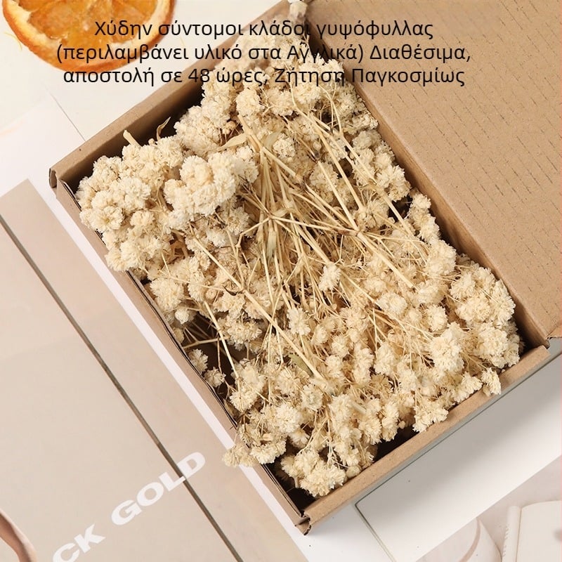 Λουλούδι – Ξηρή Γύψοφίλα Starry Sky, βαμμένες, DIY κιτ για μπουκέτο σε κουτί