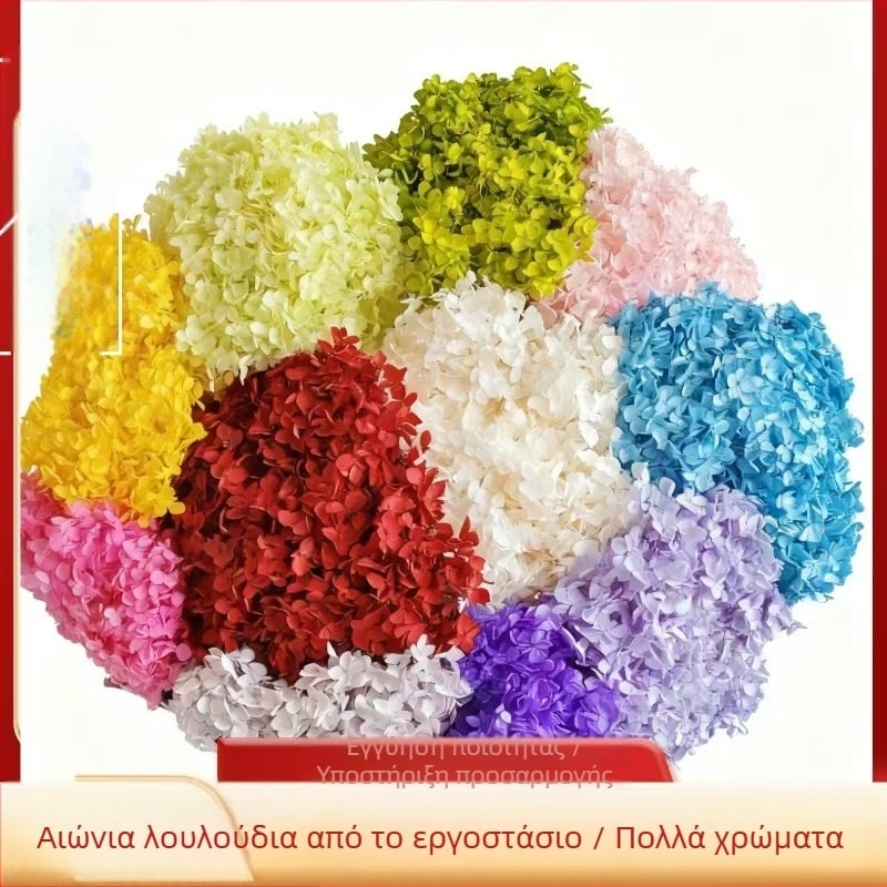 Anna Hydrangea — χειροποίητα διακοσμητικά από αποξηραμένα άνθη για οικιακή και εκδηλωσιακή διακόσμηση; Μάρκα: Everlasting Anna Hydrangea; Υλικό: αποξηραμένα άνθη; Είδος: Anna