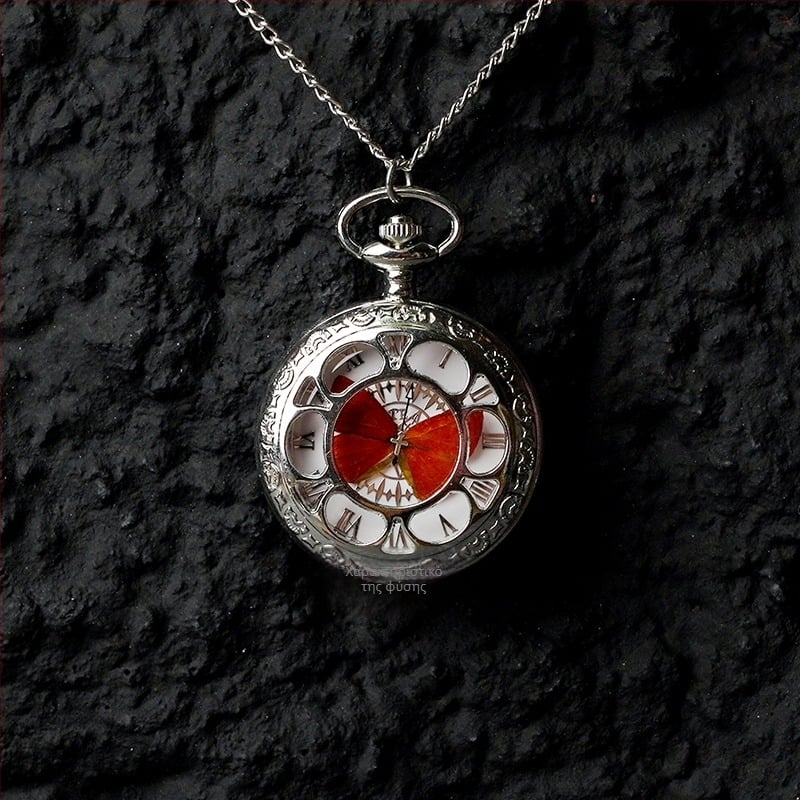 Ρολόι τσέπης με μετακινούμενο πραγματικό δείγμα πεταλούδας, ιδανικό δώρο για κορίτσια και φίλες (Ηλεκτρονικός μηχανισμός; Αντοχή στο νερό 35m; Κέλυφος από σιλικόνη; Κυκλικός καντράν; ABS γυαλί)