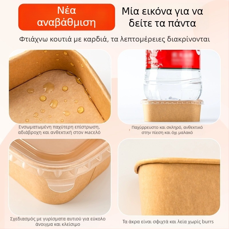 Μονοχρηστη τετράγωνη συσκευασία από kraft χαρτί με αδιάβροχη χάρτινη λεκάνη για κατασκήνωση και πικ νικ; όχι κατάλληλη για φούρνο μικροκυμάτων; κατάλληλη για γεύματα τύπου μπέντο.
