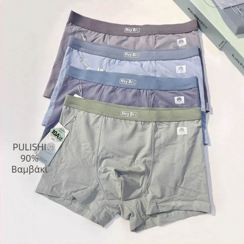 Ανδρικά μποξεράκια από βαμβάκι, με μέση στη μέση, αναπνέοντα, πλεκτά, σε συσκευασία κουτιού