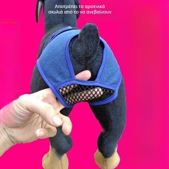 Denim υγιεινά παντελόνια για θηλυκά σκυλιά κατά τη διάρκεια της περιόδου — μικρές ράτσες (Γκόλντεν Ριτρίβερ, Τόι Πούντιλ)