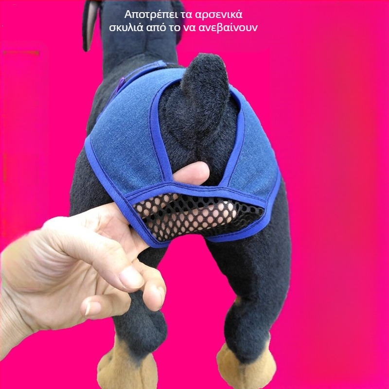 Denim υγιεινά παντελόνια για θηλυκά σκυλιά κατά τη διάρκεια της περιόδου — μικρές ράτσες (Γκόλντεν Ριτρίβερ, Τόι Πούντιλ)