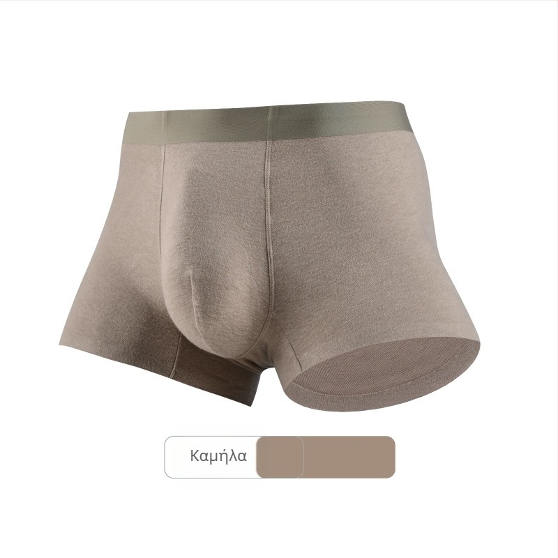 Ανδρικά μποξεράκια χωρίς ραφές με μέση, ύφασμα: Regenerated cellulose fiber, επένδυση ζώνης: 100% βαμβάκι, διατηρούν τη ζεστασιά, αντιβακτηριακό