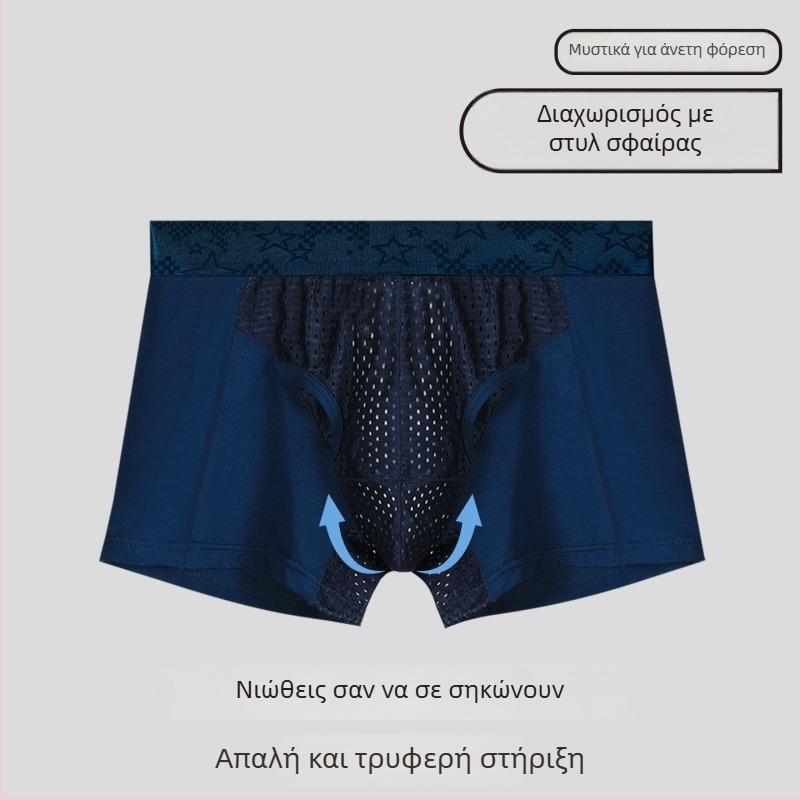 Ανδρικά εσώρουχα με στήριξη όρχεων και διαχωρισμό σε στιλ bullet, Ice Silk θήκη για φλεβικούς κιρσούς | διαπνοή, βισκόζη, πλεκτό ύφασμα, επένδυση νάιλον, μέση μεσαία