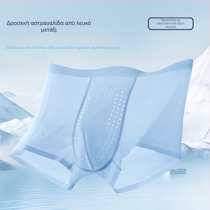 Ανδρικά μποξέρ εσώρουχο, Ice Silk νάιλον μίξη; επένδυση καβάλου από πολυλακτικό οξύ; μέση γραμμή; διαπνοή, γρήγορο στέγνωμα, αντιβακτηριακό