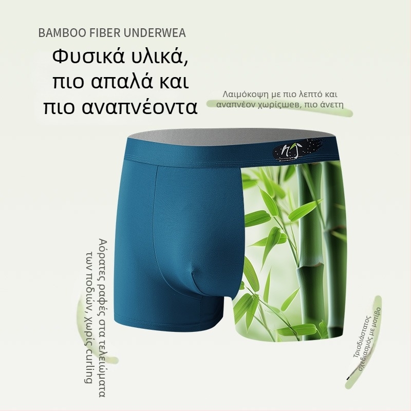 Ανδρικά εσώρουχα από ίνες μπαμπού, αντιβακτηριακά και διαπνέοντα, μεσαίας μέσης, πλεκτό ύφασμα; επένδυση καβάλου από tussah μετάξι; περιεκτικότητα μπαμπού 90–95%;