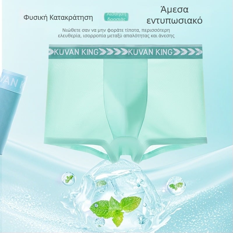 Ανδρικό εσώρουχο Ice Silk, Αντιβακτηριακό, Γρήγορο στέγνωμα, Διαπνέον, Πολυεστέρας, Μεσαία μέση