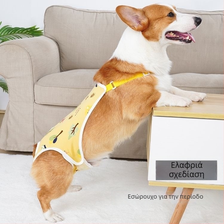 Φυσιολογικά παντελόνια σκύλων για θηλυκά - μεταξένιος εξωτερικός ιστός, επένδυση από γούνα κουνελιού, μεσαία ζώνη, φυσιολογική λειτουργία