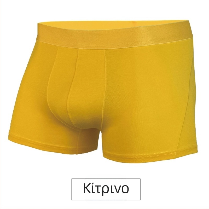 Ανδρικά boxer briefs από βαμβάκι, πλεκτά, διαπνέοντα, με επένδυση καβάλου από βισκόζη, 95–100% βαμβάκι, μέσης μεσαίας ύψους