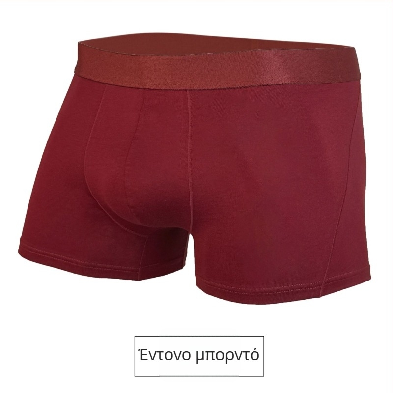 Ανδρικά boxer briefs από βαμβάκι, πλεκτά, διαπνέοντα, με επένδυση καβάλου από βισκόζη, 95–100% βαμβάκι, μέσης μεσαίας ύψους
