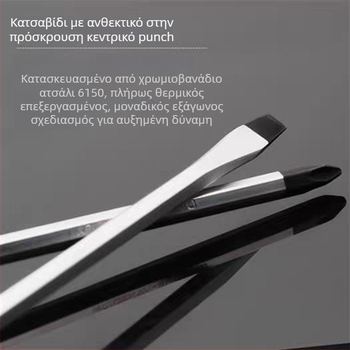 Σετ κατσαβίδια με μαγνητικό κράμα χρωμιοβάνδιο ατσάλι, κεφαλές Phillips και επίπεδη, με λαβή PP/TPR