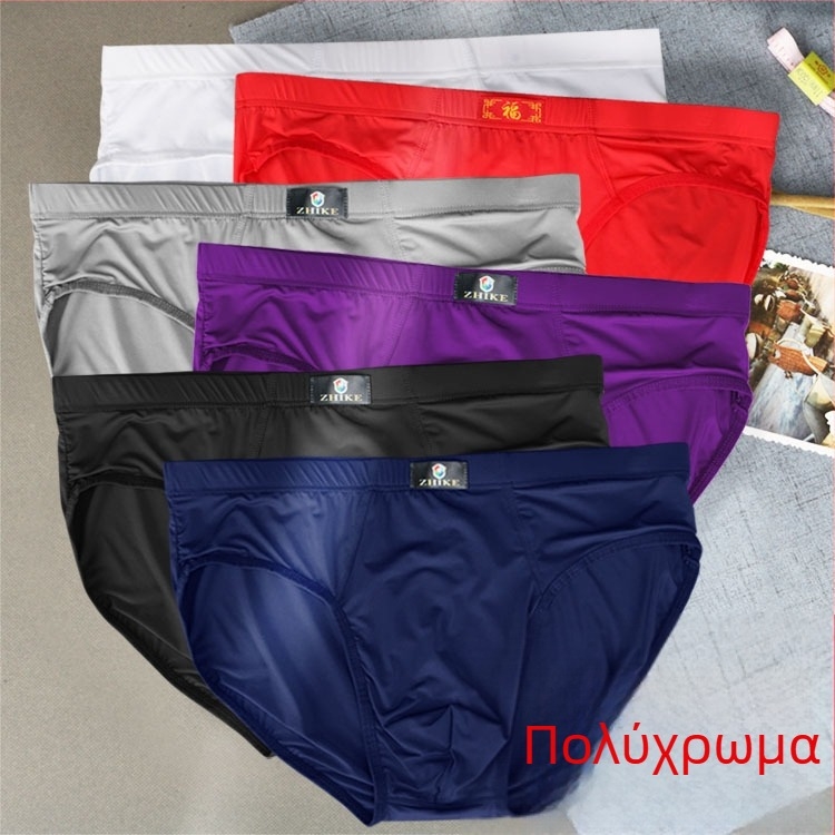 Ανδρικά σλιπ Ice Silk, διαπνέον νάιλον, απλό ύφανση, μεσαία μέση, Modal επένδυση καβάλου