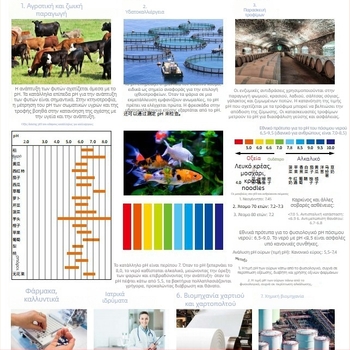 Πεν-τύπου αδιάβροχος μετρητής pH/ORP και θερμοκρασίας, 3-σε-1 Ph-099 με LCD οθόνη, σύνθετο ηλεκτρόδιο, εύρος pH 0.00–14.00, ORP -1999 έως 1999 mV, θερμοκρασία 0–50°C