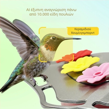 Ταΐστρα για πουλιά με κάμερα, αποσπώμενη, γυάλινο υλικό, Υποστήριξη εφαρμογής, Μοντέλο BW2-2 Owl