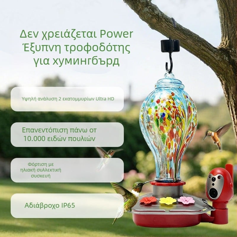 Ταΐστρα για πουλιά με κάμερα, αποσπώμενη, γυάλινο υλικό, Υποστήριξη εφαρμογής, Μοντέλο BW2-2 Owl