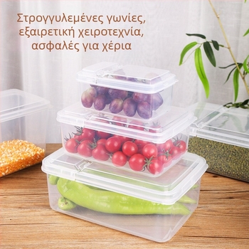 Winter Κουτί Διατήρησης Τροφίμων με Καπάκι Flip, Πλαστικό, Προέλευση Γουενζού