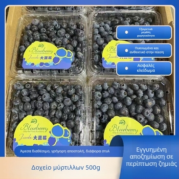 Κουτί συσκευασίας μύρτιλων, αναπνεύσιμο PET, διαφανές παχυνόμενο πλαστικό, μίας χρήσης, 100 τεμάχια ανά συσκευασία