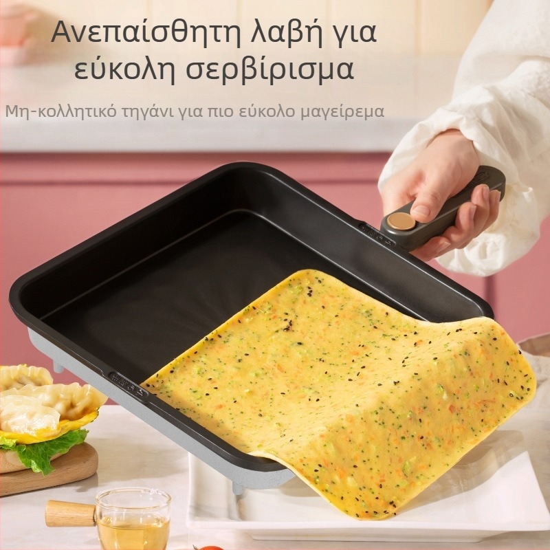 Ηλεκτρικό τηγάνι για ψήσιμο με διπλή θέρμανση και έλεγχο μέσω μικροϋπολογιστή, 220V, 50Hz