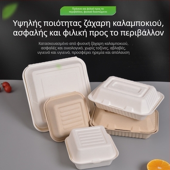 Διασπώμενο κουτί φαγητού, τετράγωνο, από πολτό ζαχαροκάλαμου, χωρητικότητα 8000 ml, πάχος 0,06 mm, βιοδιασπώμενο