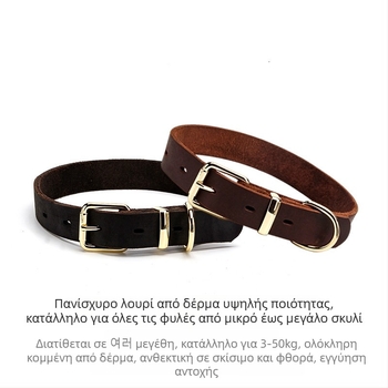 Δερμάτινο κολάρο σκύλου Gastroon – δέρμα πρώτης στρώσης, λείο σχέδιο, για όλες τις εποχές, καταγωγή Χεμπέι
