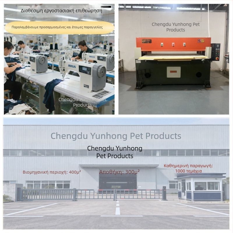 Σετ λουριού και κολάρου σκύλου με σχέδιο καρτούν, βαμβακερό υλικό, μάρκα Essence, κατάλληλο για όλες τις εποχές