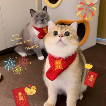 Μαντήλι για κατοικίδια (μαλλί; κέντημα; μηχανικά υφαντό με επίπεδη ύφανση; για όλες τις εποχές; Εορτασμός της Άνοιξης)